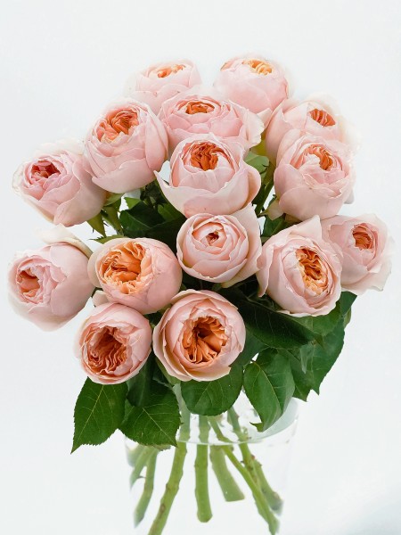 Букет английских роз Дэвида Остина / Джульетта, от 4200 руб. фото 2 — Городской букет