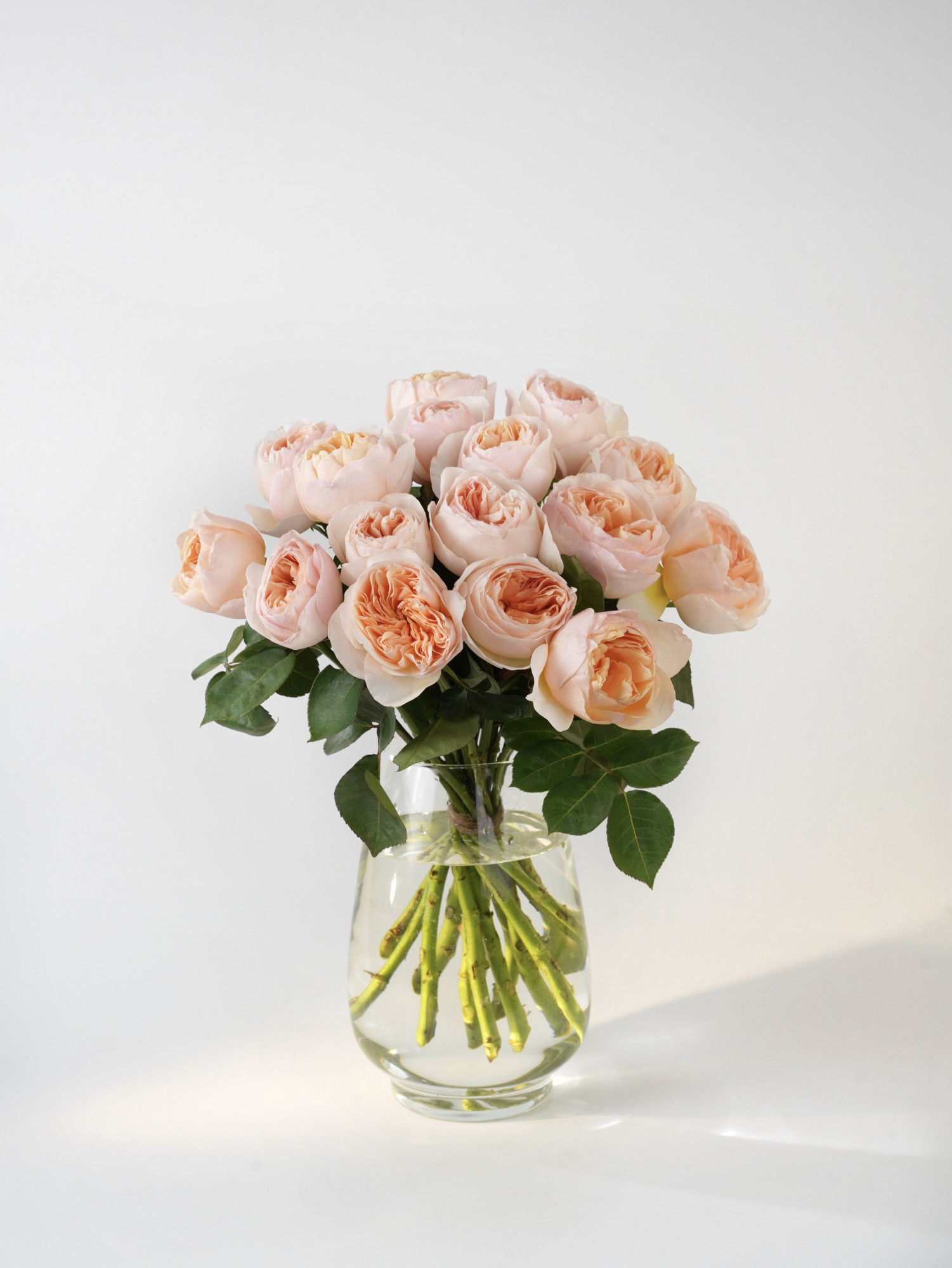 Букет английских роз Дэвида Остина «Джульетта» фото 1 &mdash; Городской букет