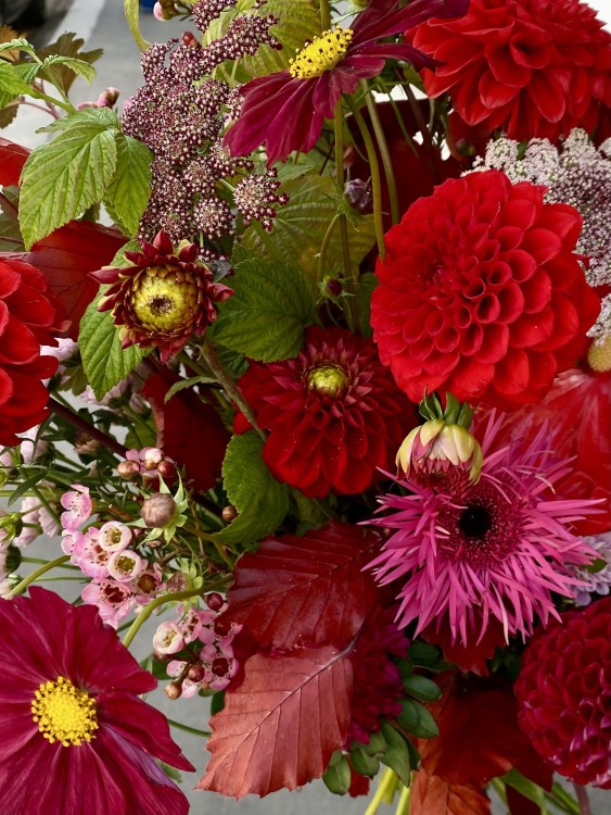 Букет «Шанталь» в ярко-алой гамме — Городской букет