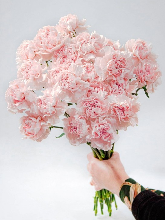 Букет из нежно-розовых гвоздик «Нимфа» Возможны более насыщенные розовые оттенки!