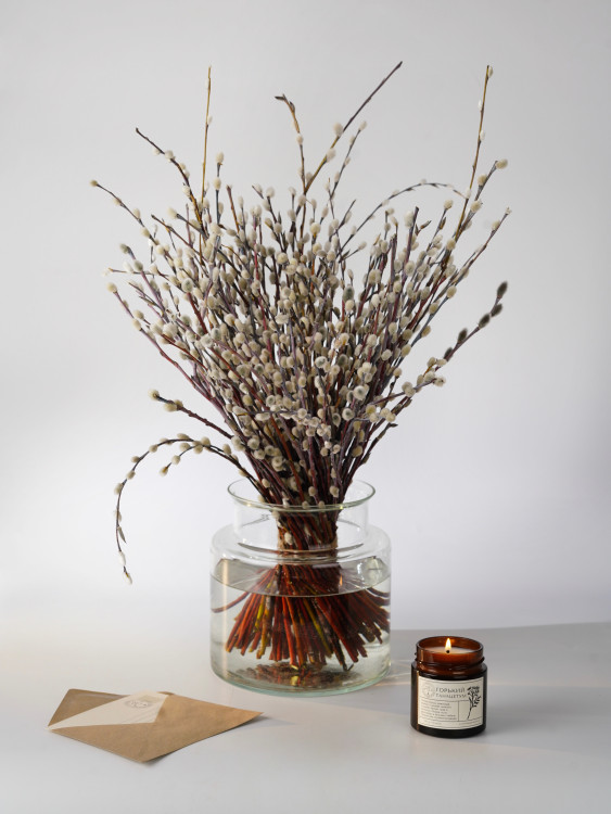 Монобукет из вербы &mdash; Городской букет