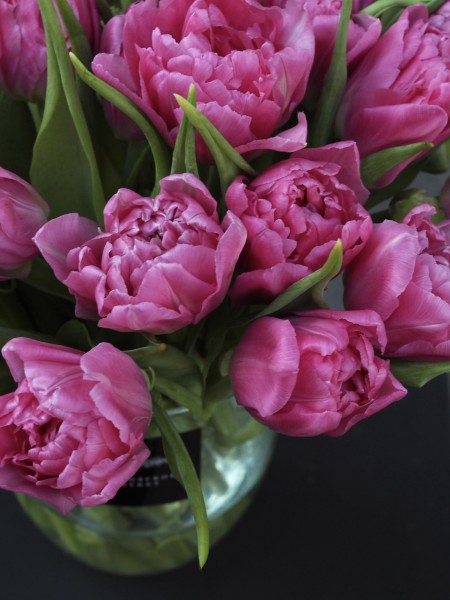 Розовые тюльпаны  фото 2 — Городской букет
