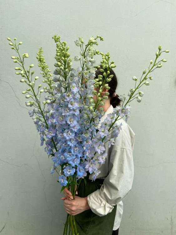 Небесно-голубой букет с Дельфиниумами (уточнить оттенок) — Городской букет