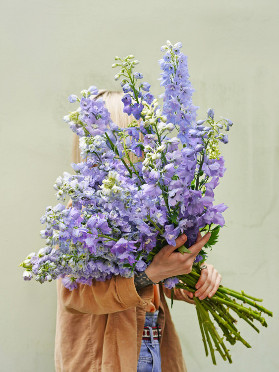 Небесно-голубой букет с Дельфиниумами (уточнить оттенок) — Городской букет