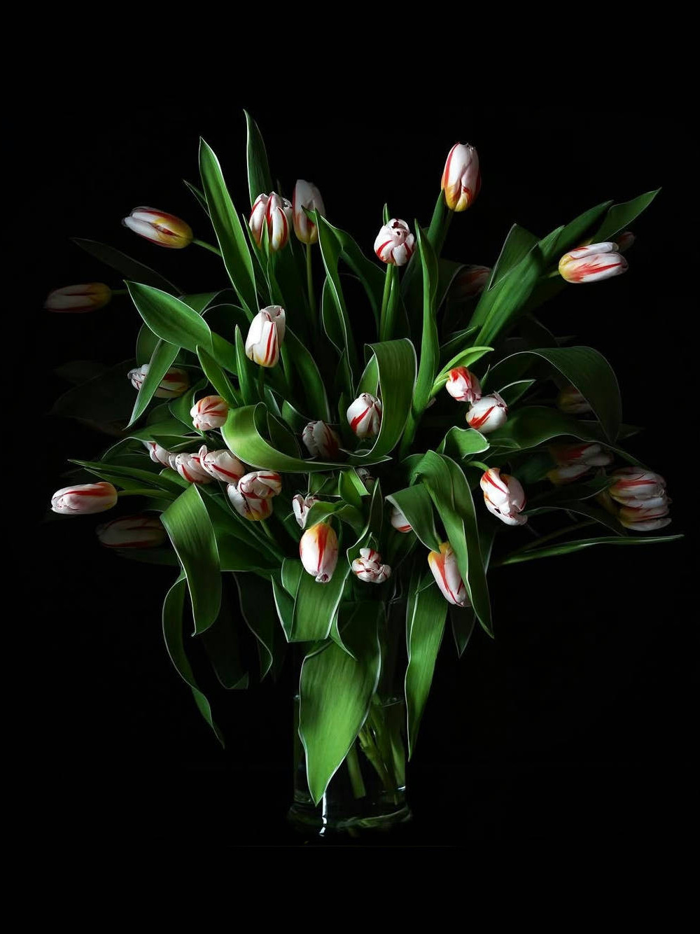 Букет «Голландский натюрморт» из изящных тюльпанов  фото 1 &mdash; Городской букет