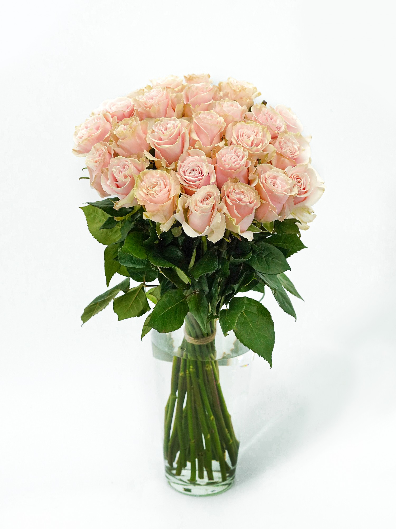 Букет нежных роз Пинк Мондиаль / Pink Mondial фото 1 — Городской букет