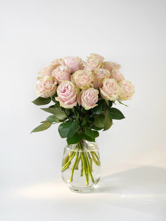 Букет нежных роз «Пинк Мондиаль» &mdash; Городской букет