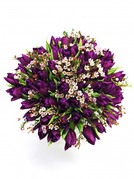 Букет «Урсула» из пурпурных тюльпанов и хамелациума фото 2 — Городской букет