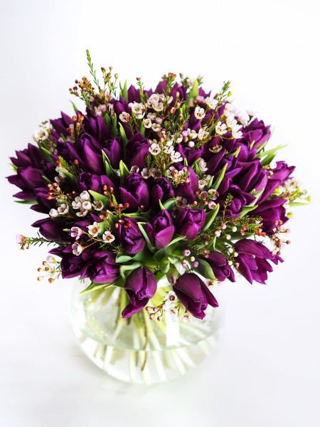 Букет «Урсула» из пурпурных тюльпанов и хамелациума фото 1 — Городской букет