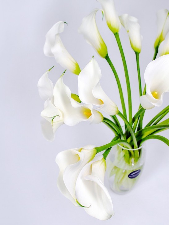 Белые каллы &mdash; Городской букет