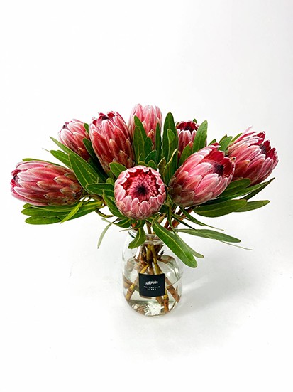 Монобукет из Протей / Pink Ice &mdash; Городской букет