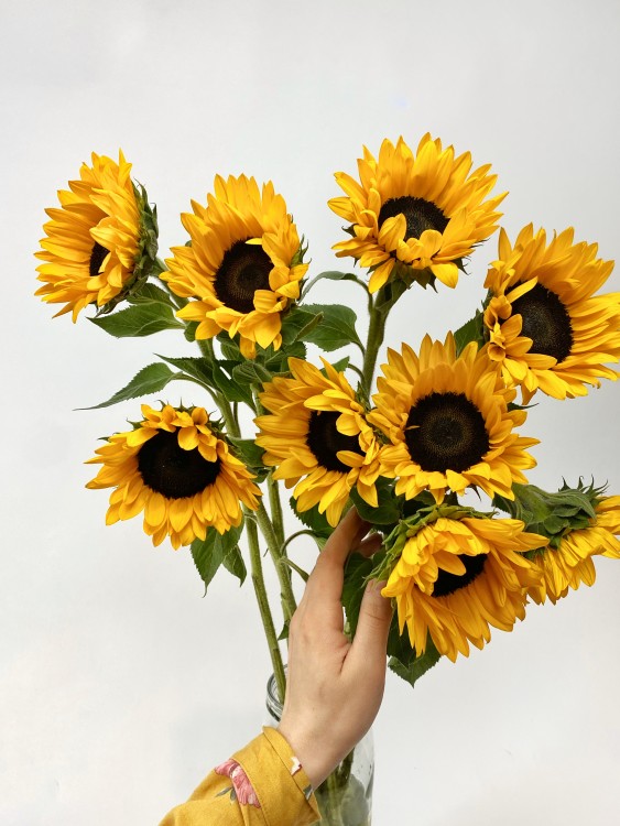 Букет «Ван Гог» с гелиантусами / декоративные подсолнухи — Городской букет