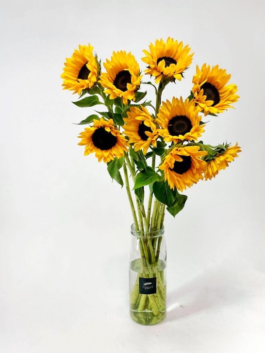 Букет «Ван Гог» с гелиантусами / декоративные подсолнухи — Городской букет