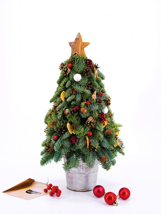 Новогодняя ёлочка «Бруни» с натуральным декором — Городской букет