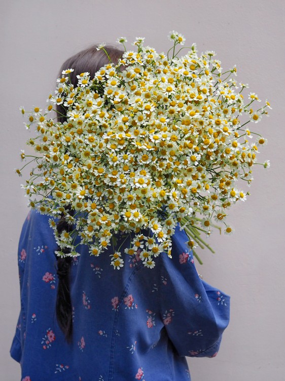 Букет «Рейн» из нежных ромашек — Городской букет