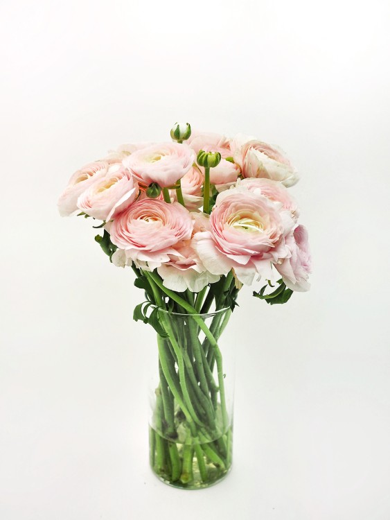 Букет из весенних ранункулюсов — Городской букет