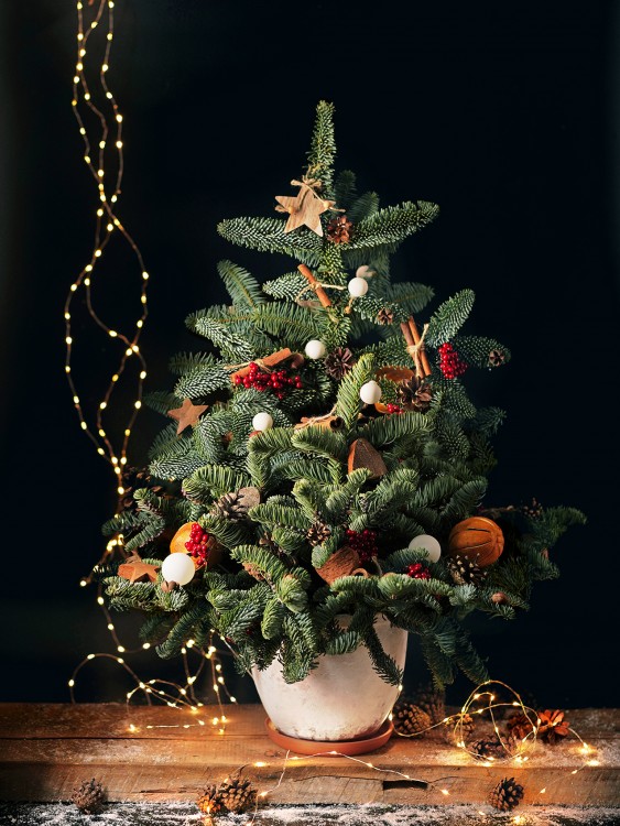 Ёлка «Тильда» — Городской букет