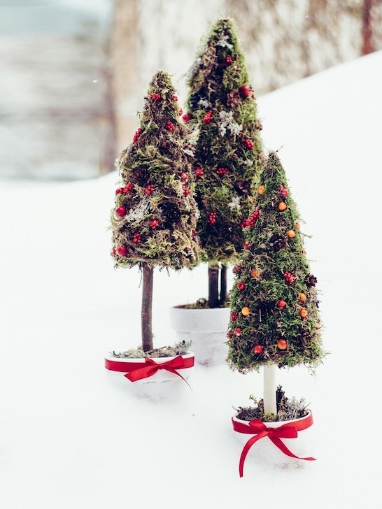 Декоративная ёлочка «Лил» в глиняном горшочке &mdash; Городской букет