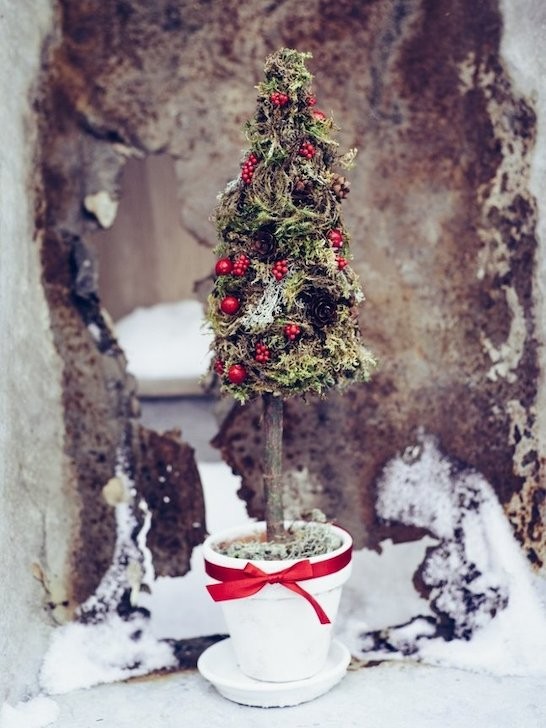 Декоративная ёлочка «Лил» в глиняном горшочке &mdash; Городской букет