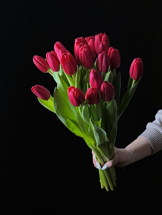 Букет с яркими малиновыми тюльпанами, от 3000 руб. &mdash; Городской букет