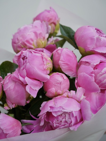 Букет из нежно-розовых пионов фото 2 — Городской букет