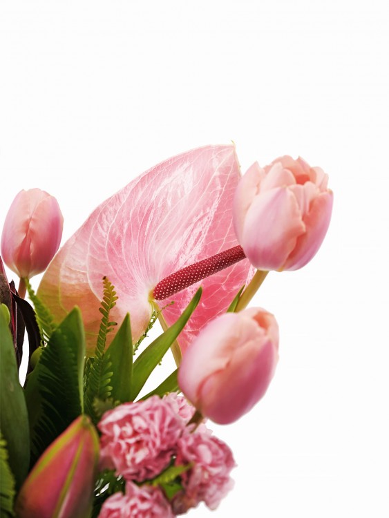 Букет «Розовый кристалл» с розовым антуриумом и протеей — Городской букет