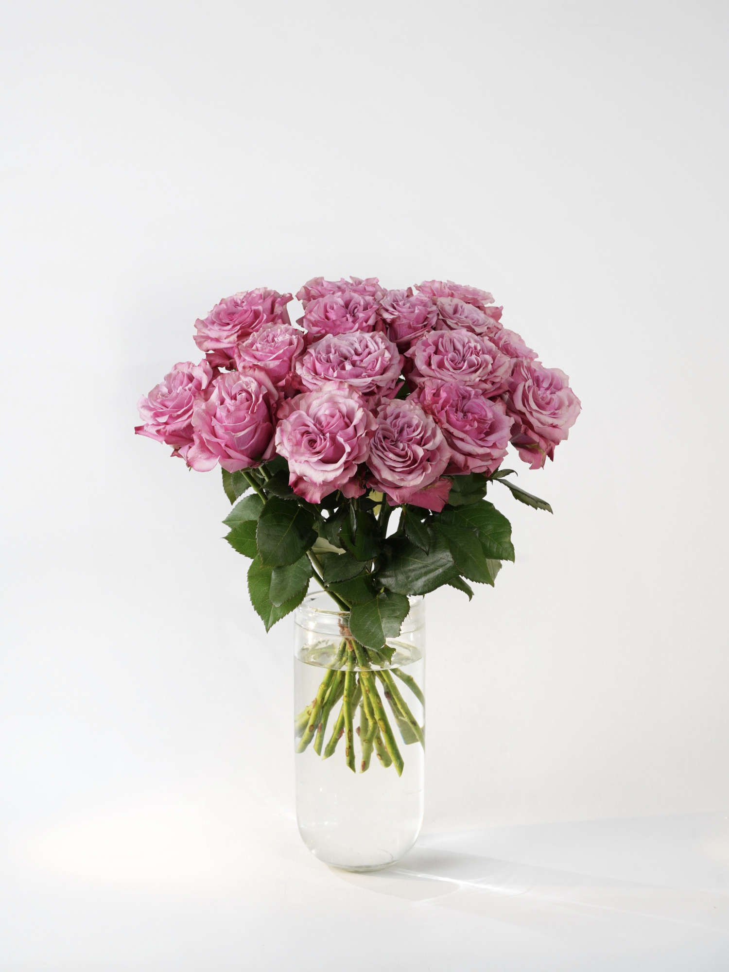 Букет ярких роз «Кантри Блюз» фото 1 &mdash; Городской букет