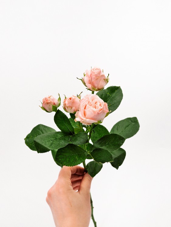 Букет «Флорентина» с пионовидными розами — Городской букет