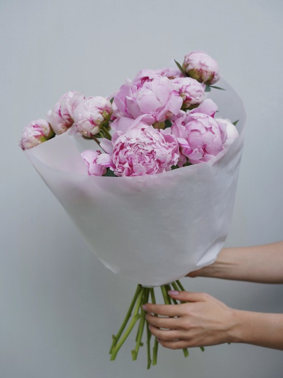 Букет из нежно-розовых пионов Сара Бернар — Городской букет
