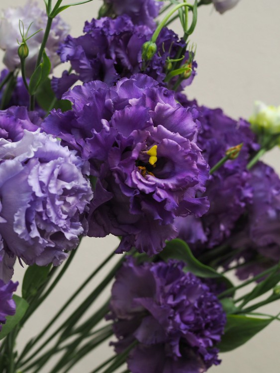 Монобукет с фиолетовой эустомой — Городской букет