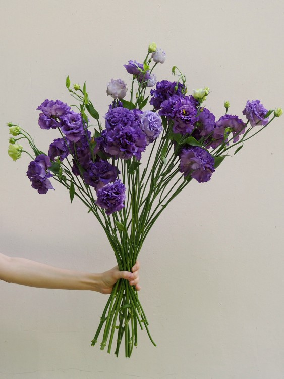 Монобукет с фиолетовой эустомой — Городской букет