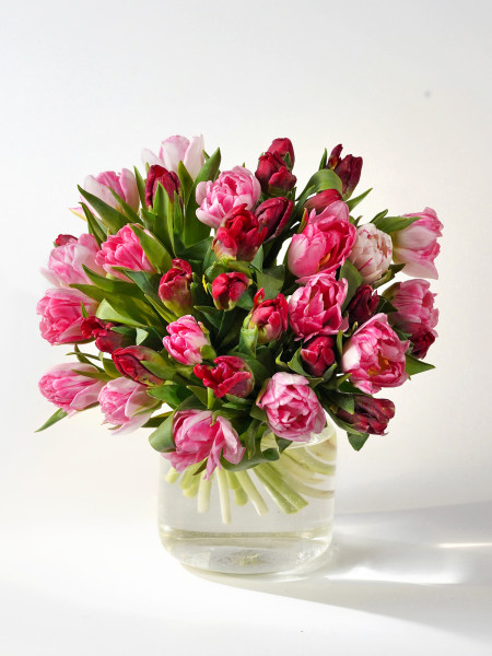 Букет пионовидных тюльпанов «Милан» в красно-розовой гамме, от 3750 руб. фото 3 &mdash; Городской букет