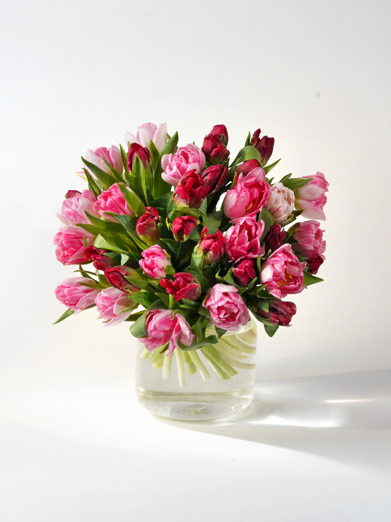 Букет пионовидных тюльпанов «Милан» в красно-розовой гамме, от 3750 руб. &mdash; Городской букет