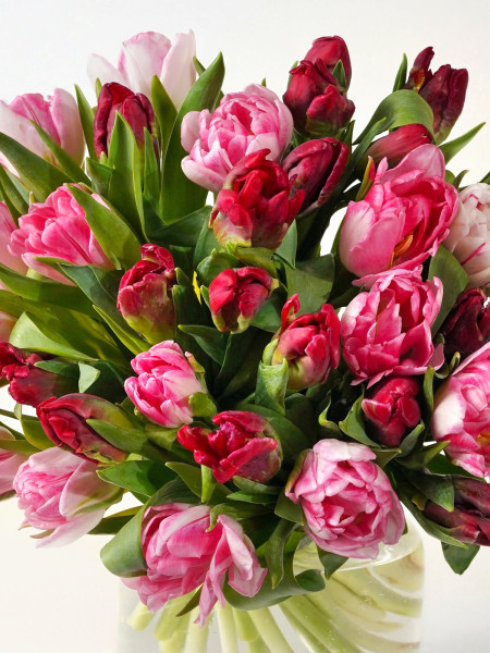 Букет пионовидных тюльпанов «Милан» в красно-розовой гамме, от 3750 руб. фото 2 &mdash; Городской букет