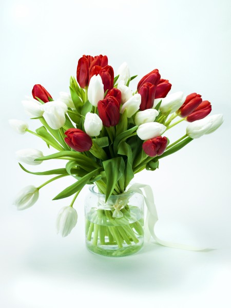 Букет «Ален» с красными и белыми тюльпанами фото 1 — Городской букет