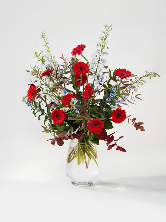 Букет «Мика» с яркими красными герберами и голубыми дельфиниумами — Городской букет