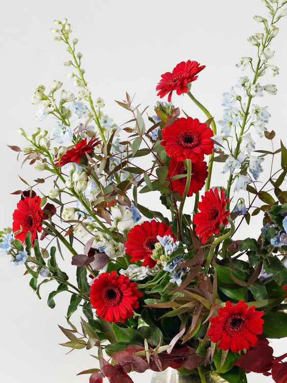 Букет «Мика» с яркими красными герберами и голубыми дельфиниумами — Городской букет