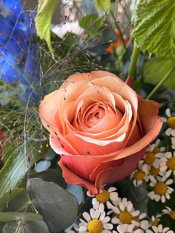 Садовый букет с дельфиниумами и розами сорта Кахала &mdash; Городской букет