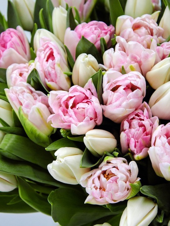 Букет «Воздушный поцелуй» из пионовидных тюльпанов, от 5850 руб. &mdash; Городской букет