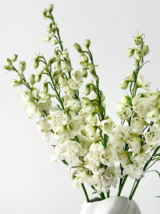 Нежный букет из белых Дельфиниумов — Городской букет