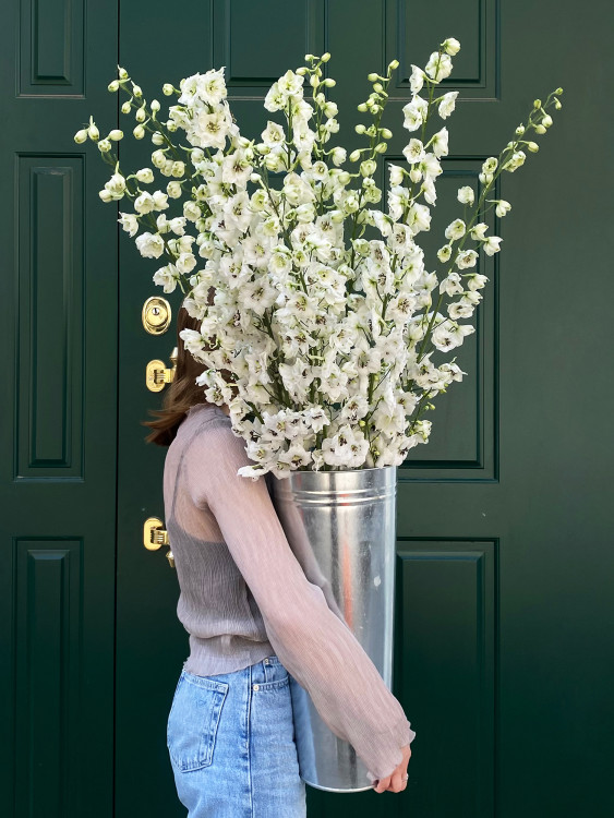 Нежный букет из белых Дельфиниумов — Городской букет