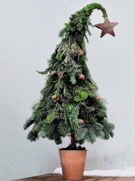 Сказочная ёлочка «Нарния»  &mdash; Городской букет