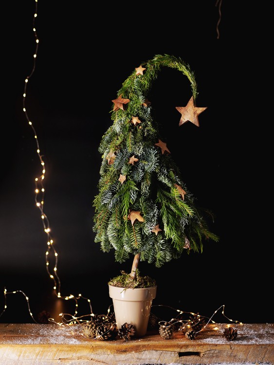 Сказочная ёлочка «Нарния»  &mdash; Городской букет